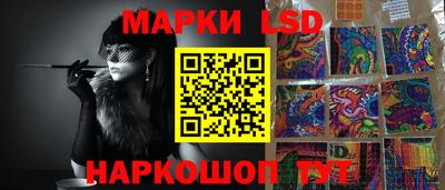 spice Вязьма