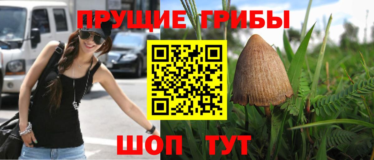 Галлюциногенные грибы прущие грибы Владивосток